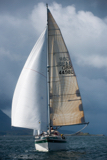 viva gbr4498l whyw17 mon gjmc 6593